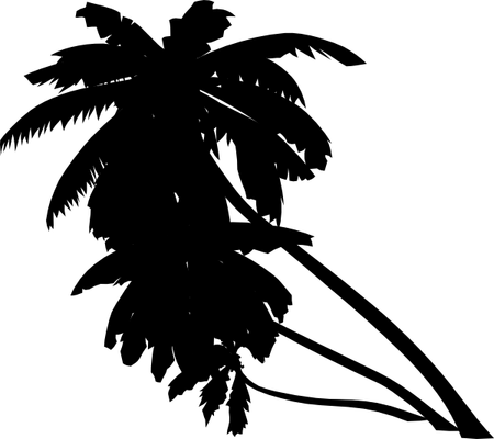 Palm Tree Black PNG