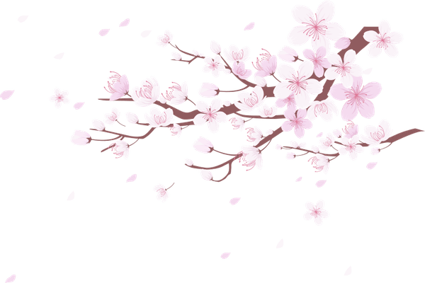 Cherry Blossom Tree PNG