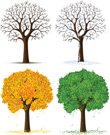 Four Seasons PNG