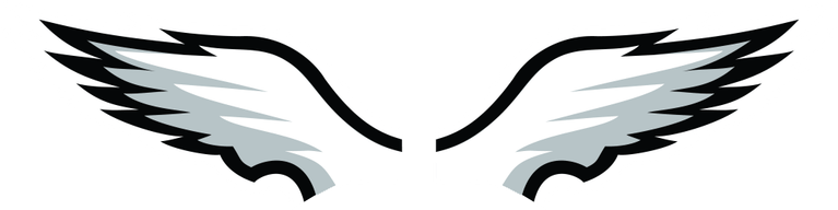 Eagle Wing PNG