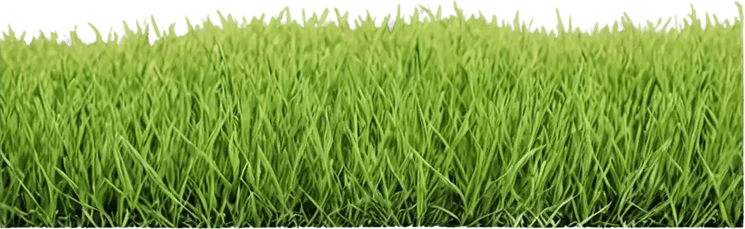 Soccer Field Grass PNG