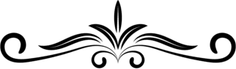 Flower Divider PNG