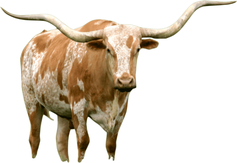 Longhorn PNG