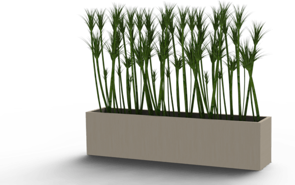 Planter PNG