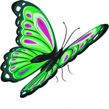 Green Butterfly PNG