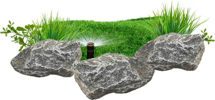 Rock With Grass PNG