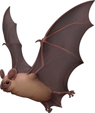 Bat Emoji PNG