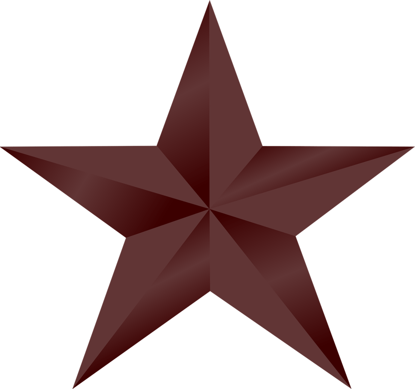 Bronze Star PNG