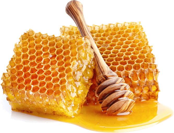 Honey PNG
