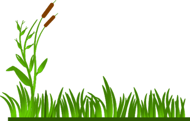 Agriculture PNG