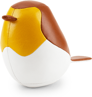 Robin Bird PNG