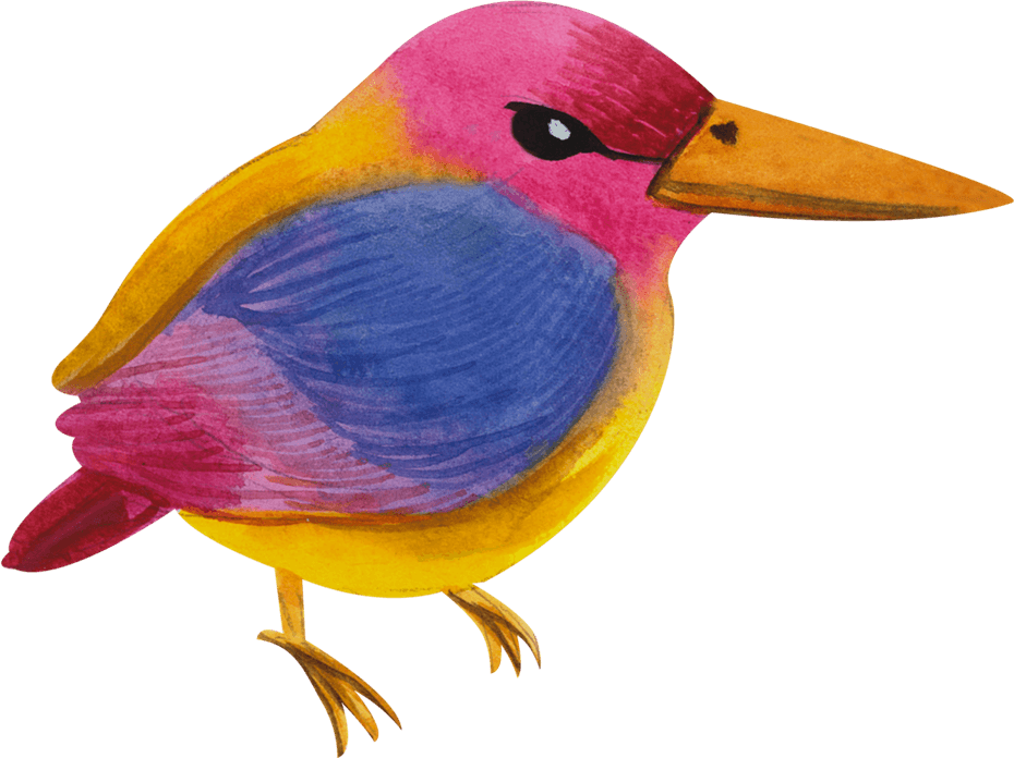 Watercolor Bird PNG