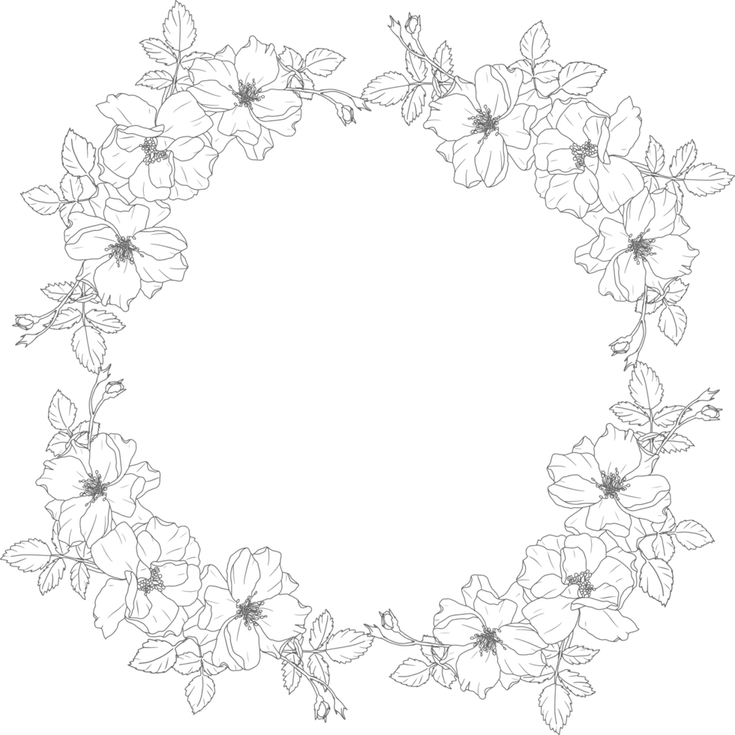 Lace Circle PNG