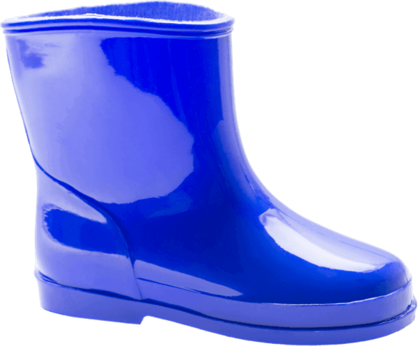 Rain Boots PNG