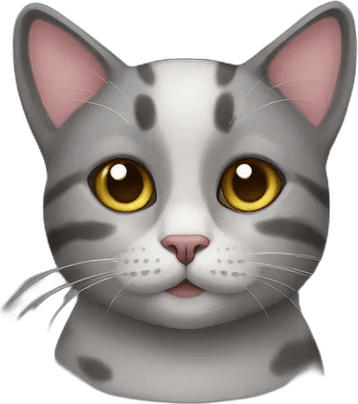 Uwu Cat PNG