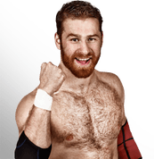 Sami Zayn PNG