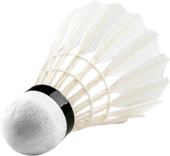 Shuttlecock PNG