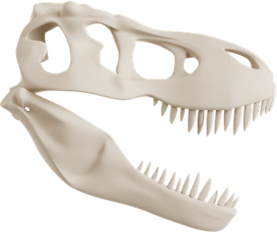 Dinosaur Skull PNG