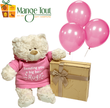 Bear With Pink Balloon PNG