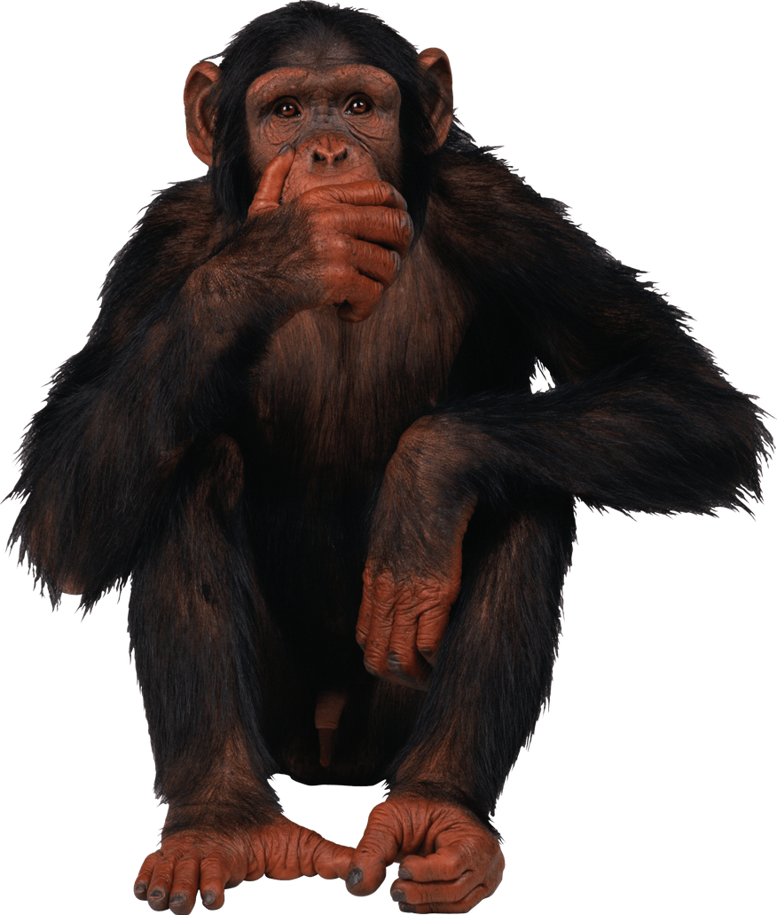 Ape PNG