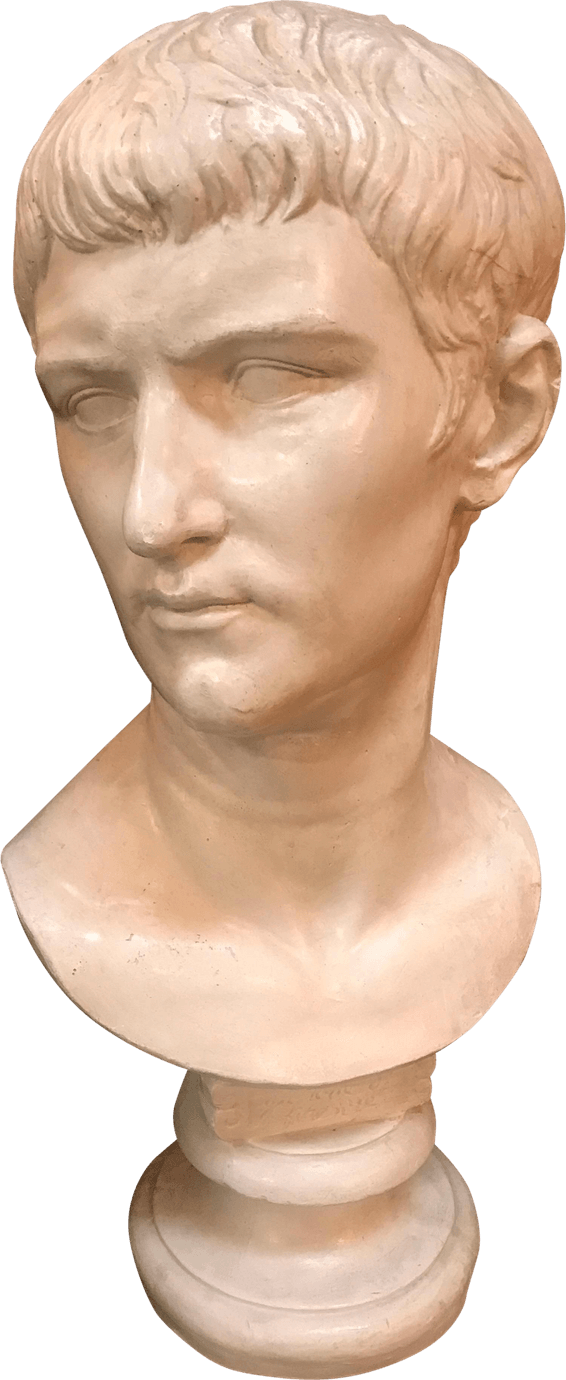 Bust PNG