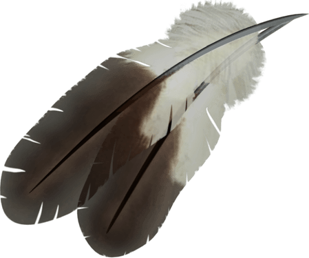Feathers PNG