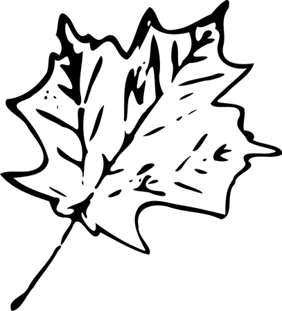 Leaf Black And White PNG