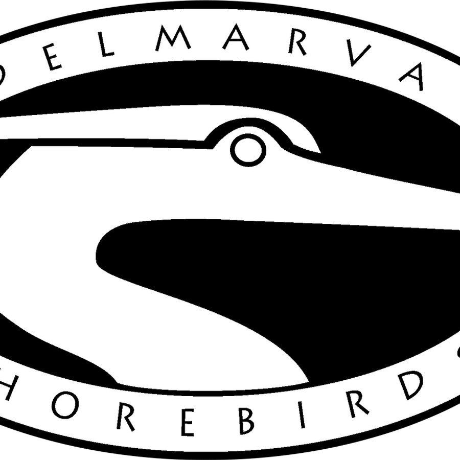 Delmarva Shorebirds PNG