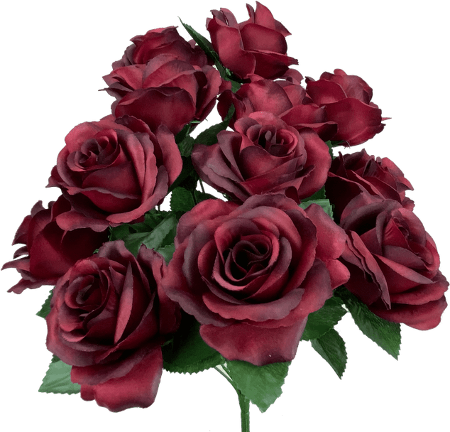 Burgundy Rose PNG