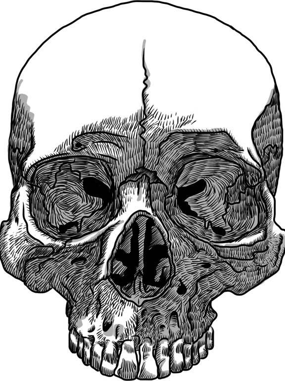 Black Skull PNG