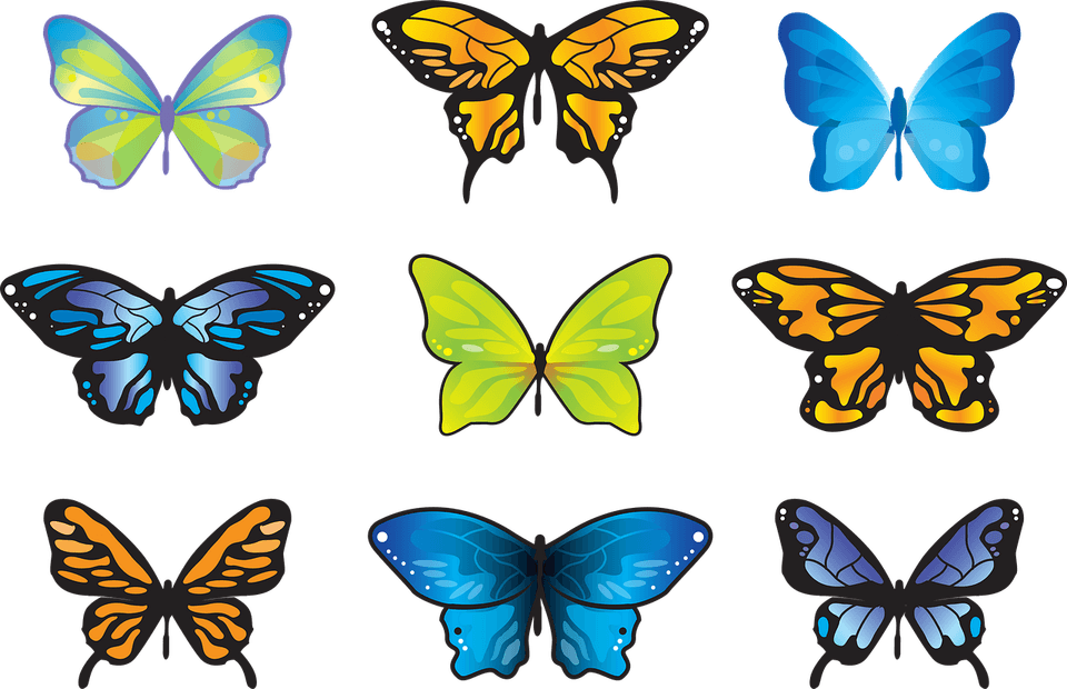 Butterfly Small PNG