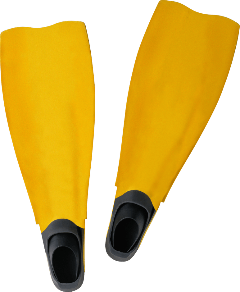 Flippers PNG