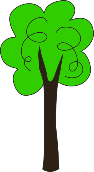 Tall Tree PNG