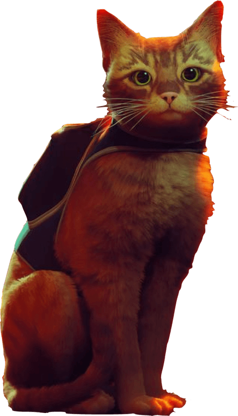 Street Cat PNG
