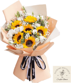 Babys Breath Flower PNG