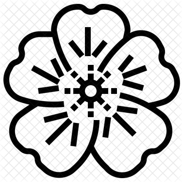 Geranium PNG