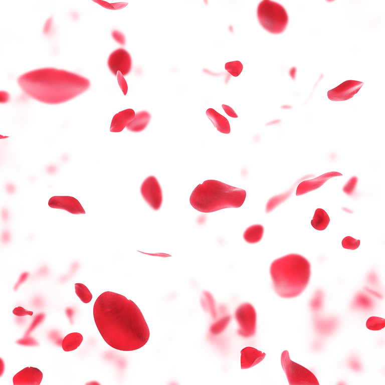 Rose Petals PNG