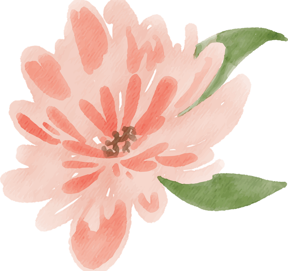 Peach Flower PNG
