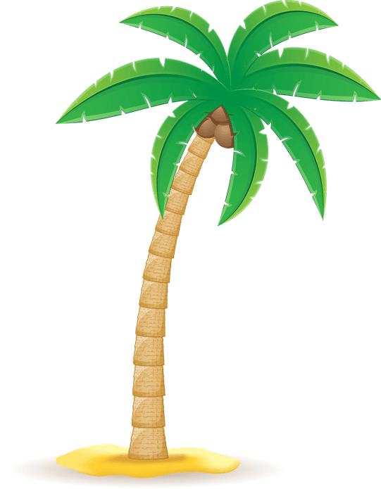 Coconut Trees PNG