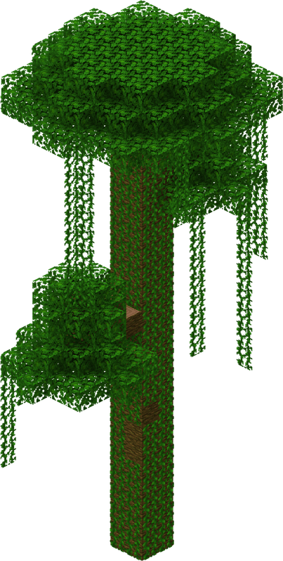 Rainforest Tree PNG