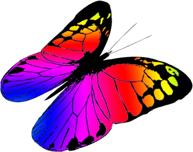 Butterfly Colourful PNG