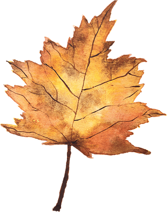 Autumn Aesthetic Theme PNG