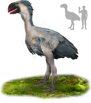 Dinosaur Bird PNG