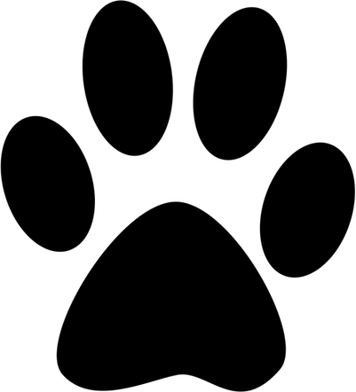 Animal Track PNG