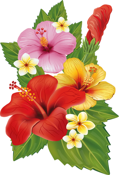 Tropical Flowers Border PNG