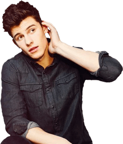 Shawn Mendes PNG