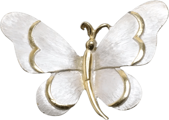 Cabbage Butterfly PNG