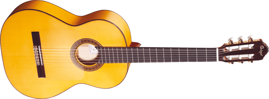 Acoustic Guitar PNG