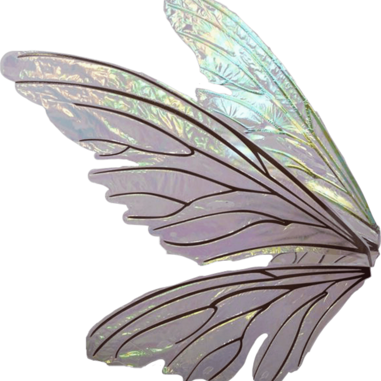 Fairycore Aesthetics Theme PNG