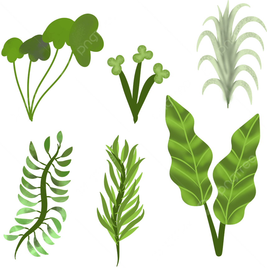 Watercolor Leaves PNG